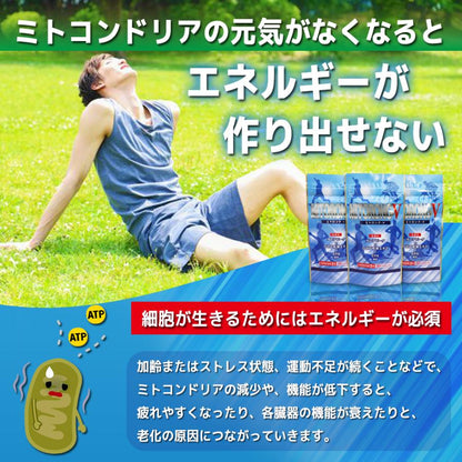 【定期購入 最大30％OFF・送料無料】ミトロング-V 30日分
