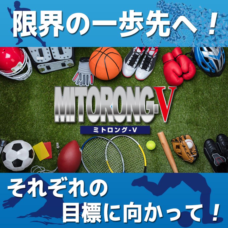 【定期購入 最大30％OFF・送料無料】ミトロング-V 30日分