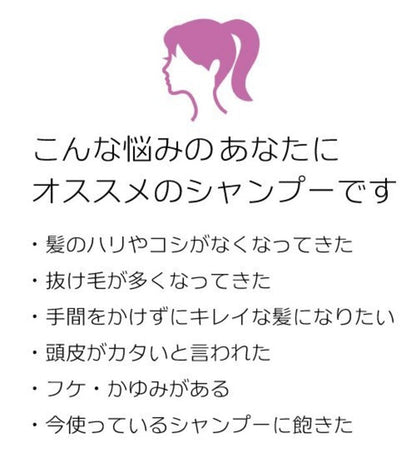 マスターキミーシャンプー400ml