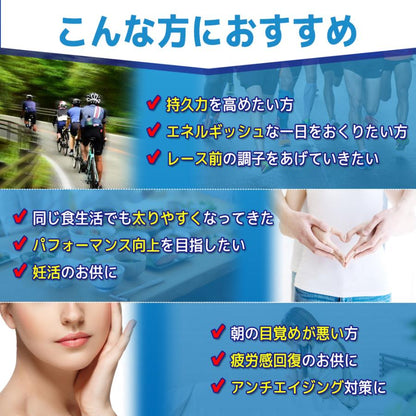 【定期購入 最大30％OFF・送料無料】ミトロング-V 30日分